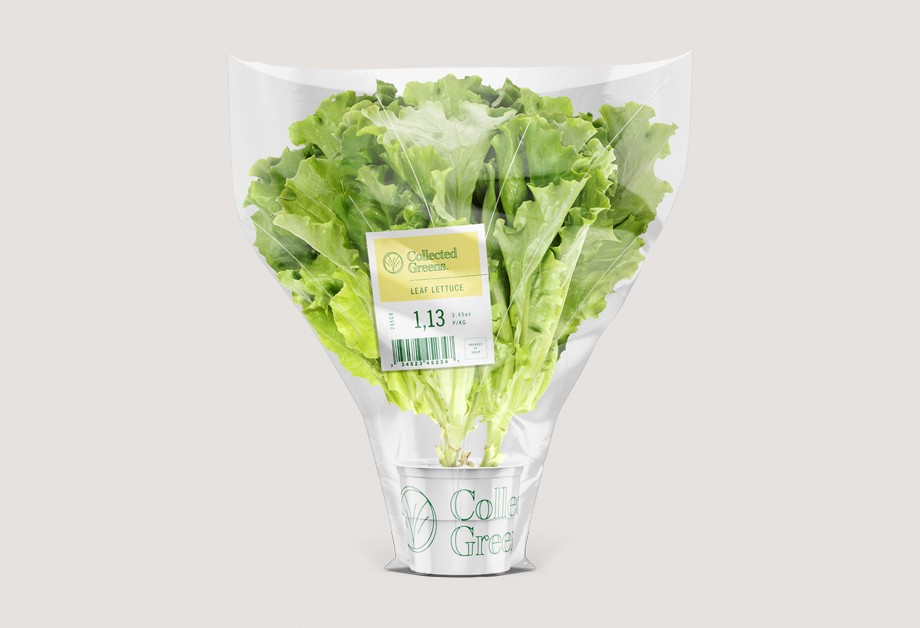 thermal paper label on fresh vegetables packed in plastic